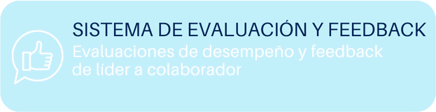 SISTEMA DE EVALUACIÓN Y FEEDBACK